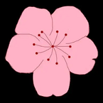 WWW,se453·COM网站APPAPP应用